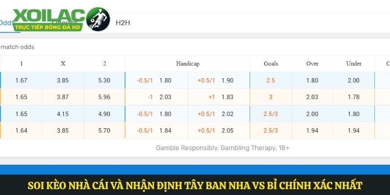Soi kèo nhà cái và nhận định Tây Ban Nha vs Bỉ chính xác nhất